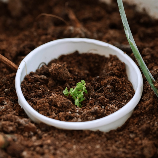What are biodegradable and compostable disposable products?